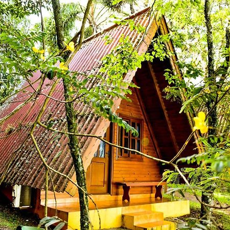 Hotel Vila Dos Alpes Трезі-Тіліас Екстер'єр фото